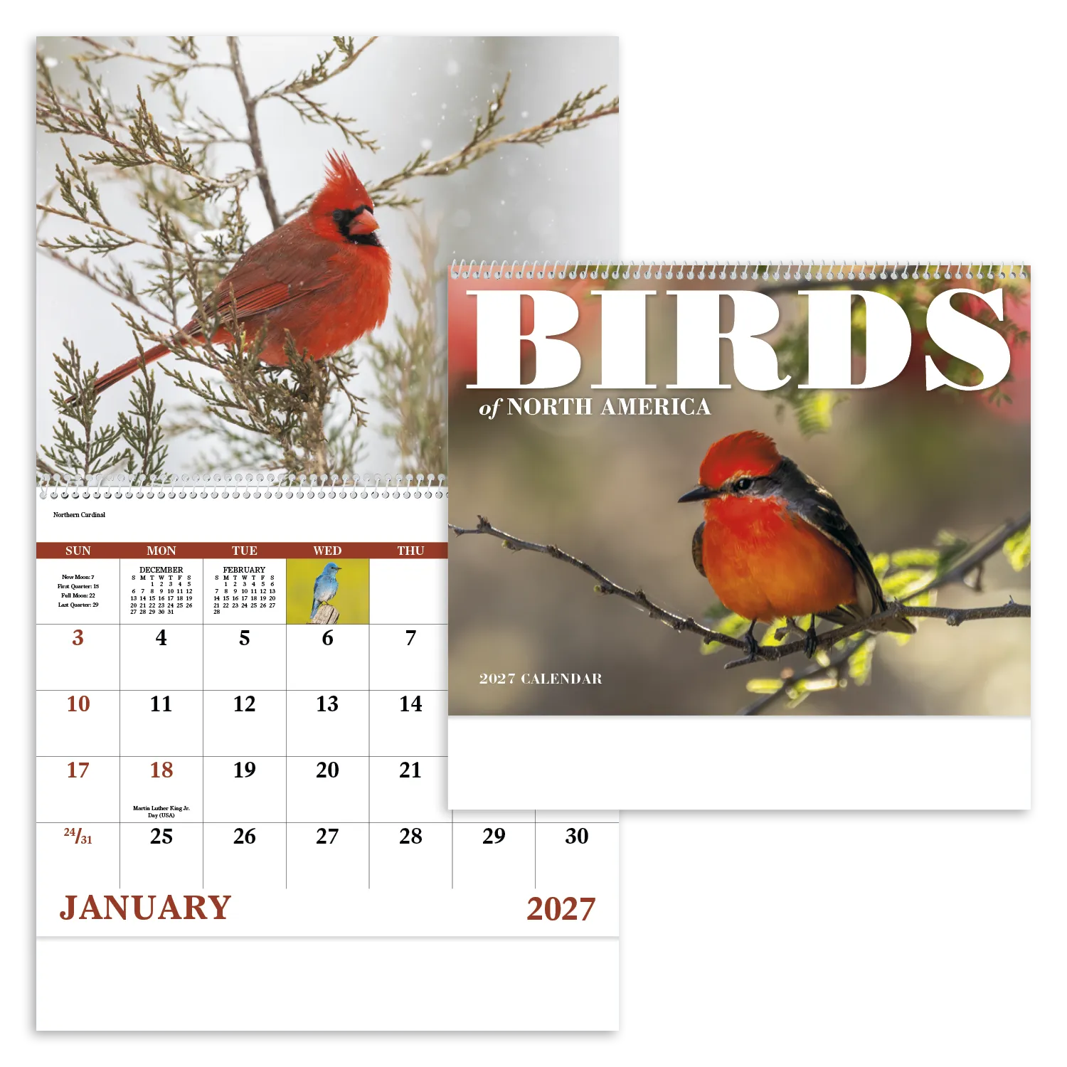 Birds of North America Spiral Wall Calendar - 18.5 x 11 in - product view 20