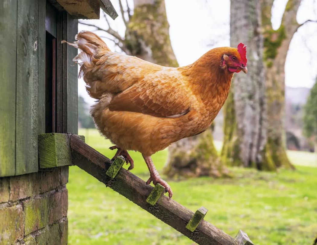 Agriculture Spiral Wall Calendar Rural Life FSC - 18.5 x 11 in - product view 7