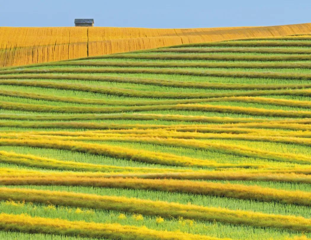 Agriculture Spiral Wall Calendar Rural Life FSC - 18.5 x 11 in - product view 15