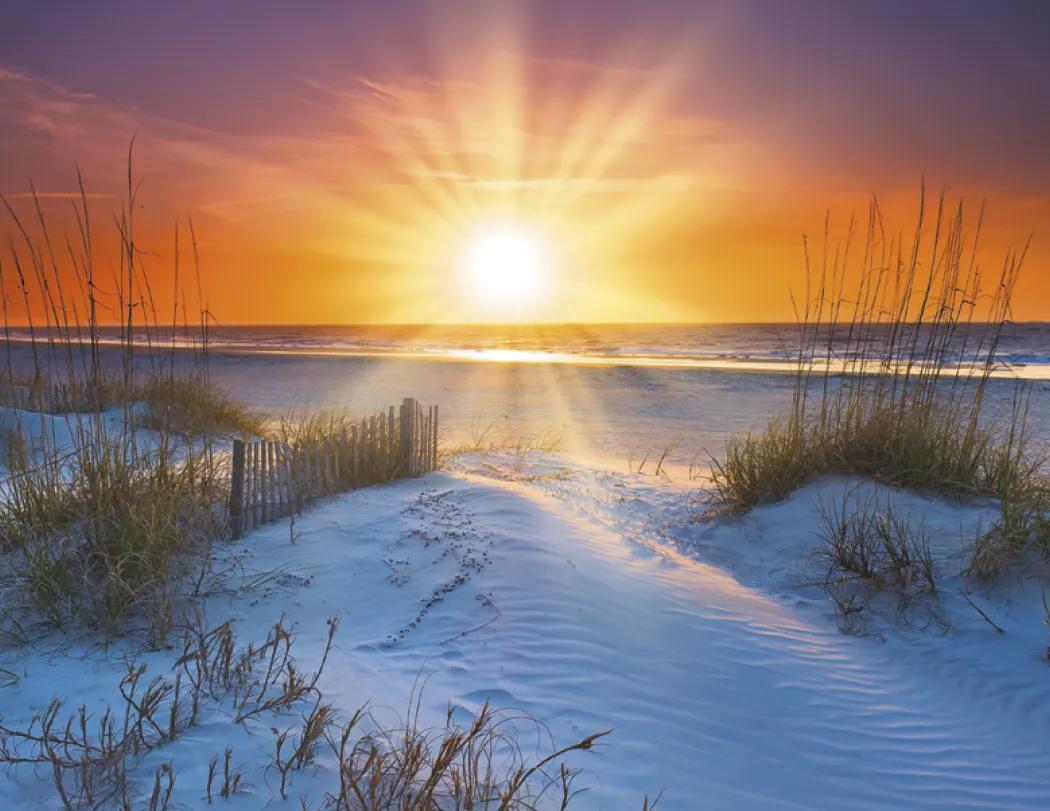 Beach Paradise Spiral Wall Calendar FSC Paper - 18.5 x 11 in - product view 13