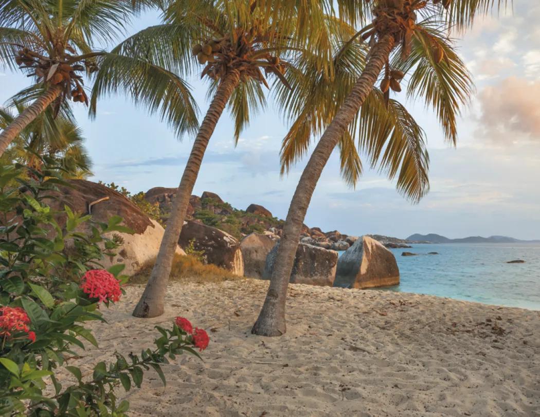 Beach Paradise Spiral Wall Calendar FSC Paper - 18.5 x 11 in - product view 14