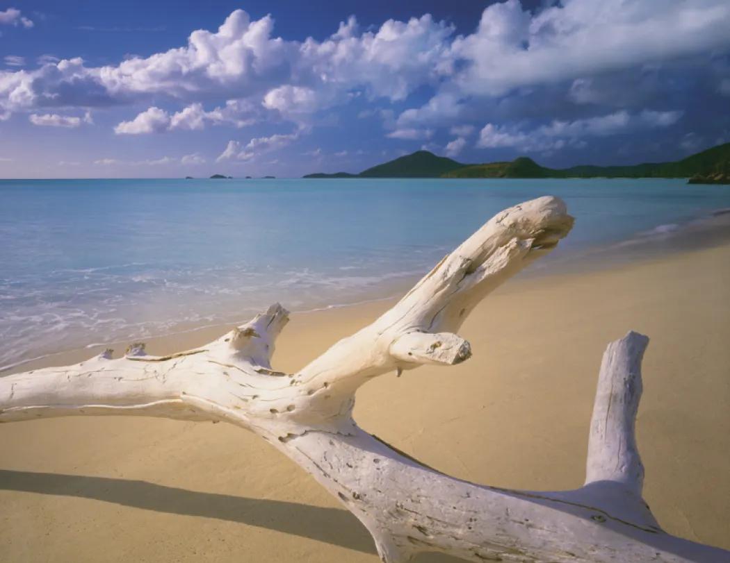 Beach Paradise Spiral Wall Calendar FSC Paper - 18.5 x 11 in - product view 15