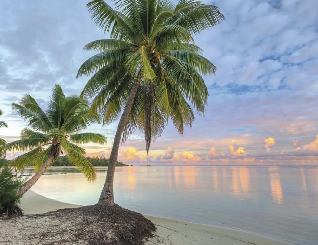 Beach Paradise Spiral Wall Calendar FSC Paper - 18.5 x 11 in - product view 18