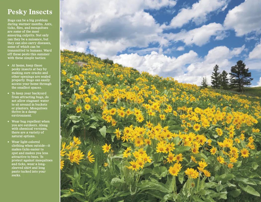 Healthy Living Spiral Wall Calendar FSC Paper - 18.5 x 11 in - product view 10