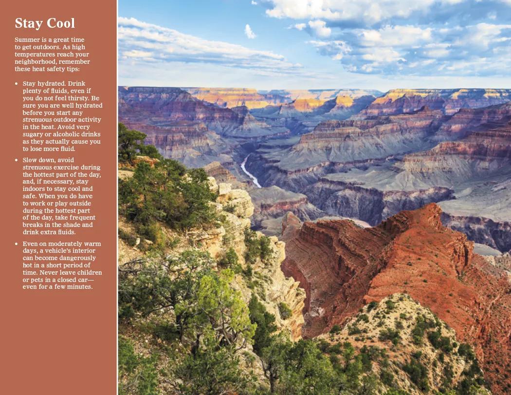 Healthy Living Spiral Wall Calendar FSC Paper - 18.5 x 11 in - product view 12