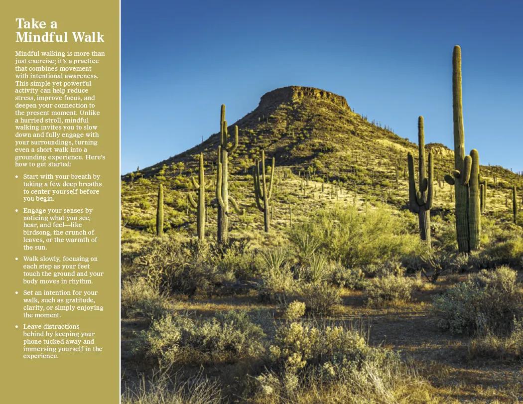 Healthy Living Spiral Wall Calendar FSC Paper - 18.5 x 11 in - product view 15