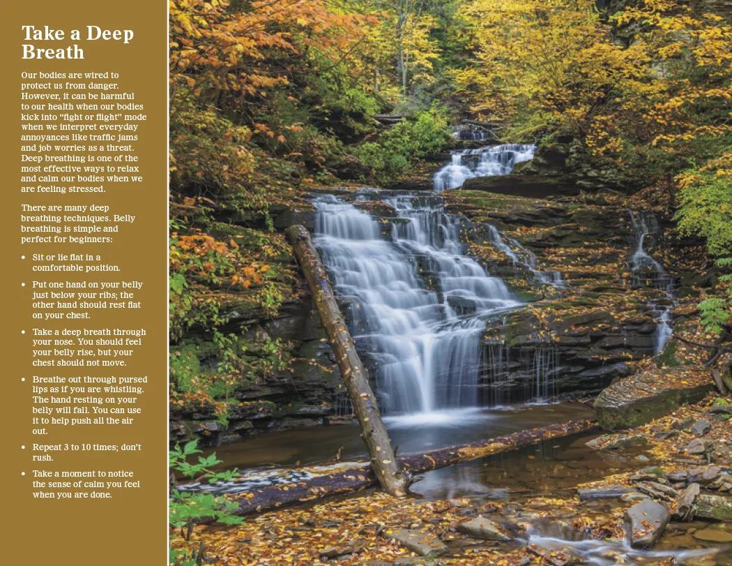 Healthy Living Spiral Wall Calendar FSC Paper - 18.5 x 11 in - product view 16