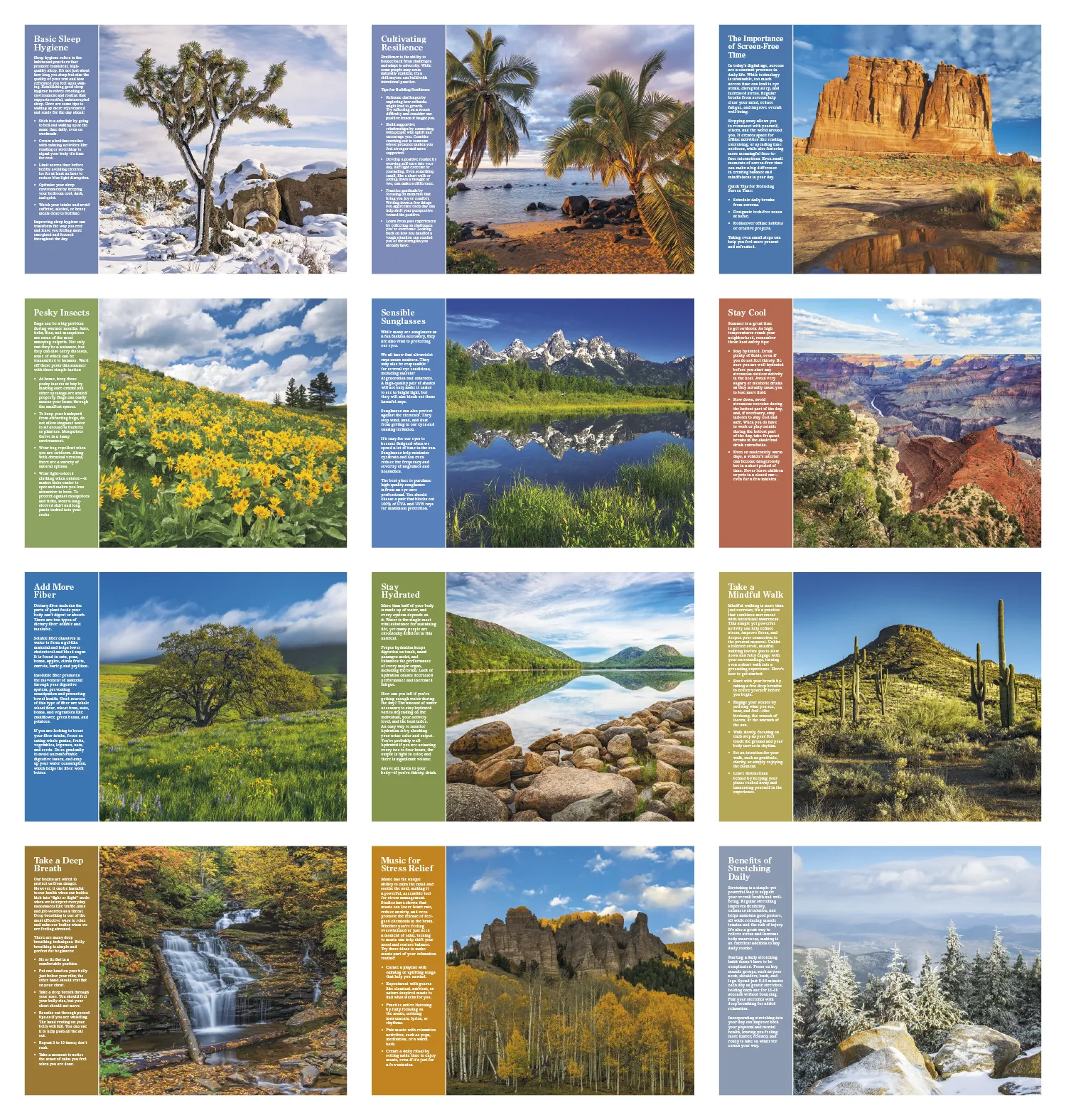 Healthy Living Spiral Wall Calendar FSC Paper - 18.5 x 11 in - product view 21