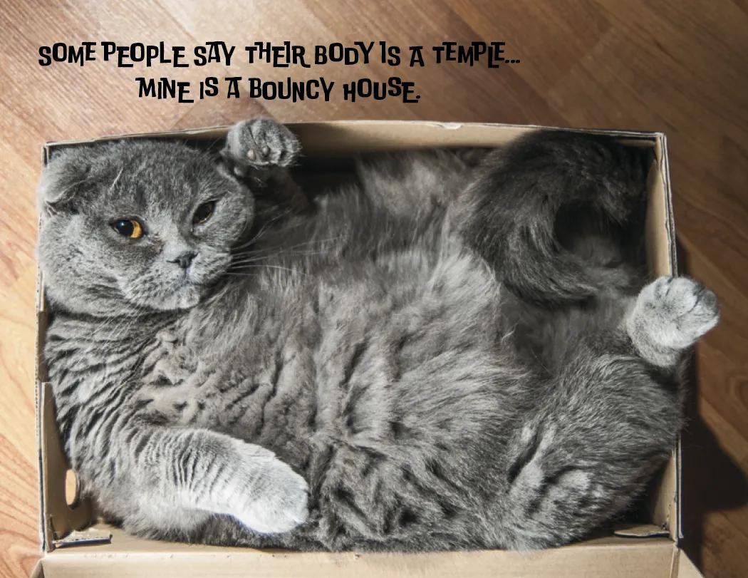 Pets with Attitude Spiral Wall Calendar FSC - 18.5 x 11 in - product view 10