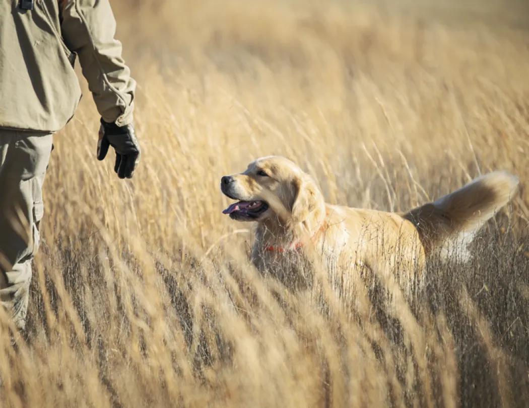 Sporting Dogs Spiral Wall Calendar FSC Paper - 18.5 x 8.5 in - product view 8