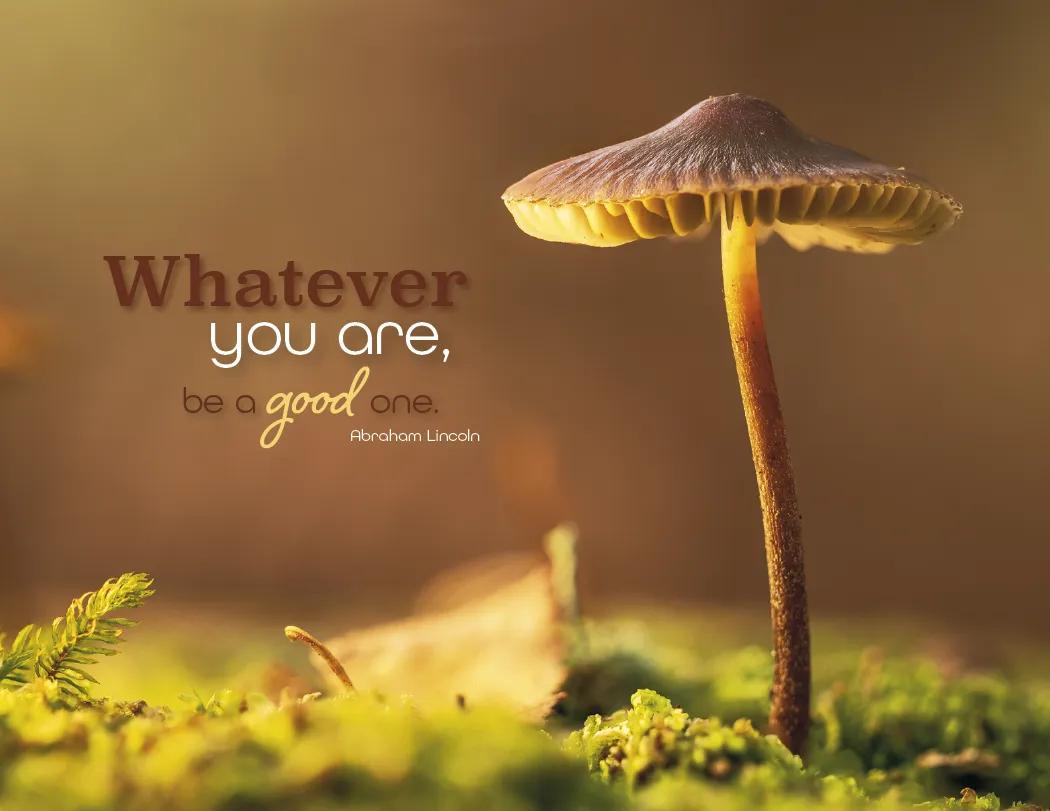 Simplicity Spiral Wall Calendar Quotes FSC Paper - 18.5 x 11 in - product view 6