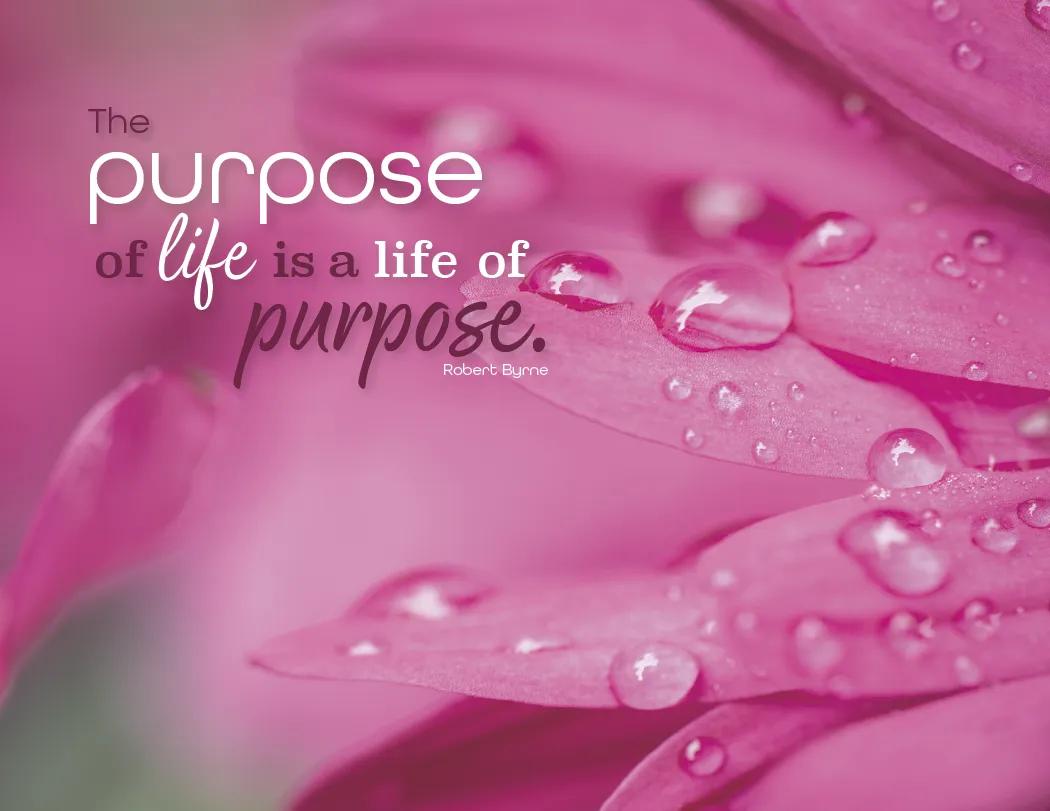 Simplicity Spiral Wall Calendar Quotes FSC Paper - 18.5 x 11 in - product view 9