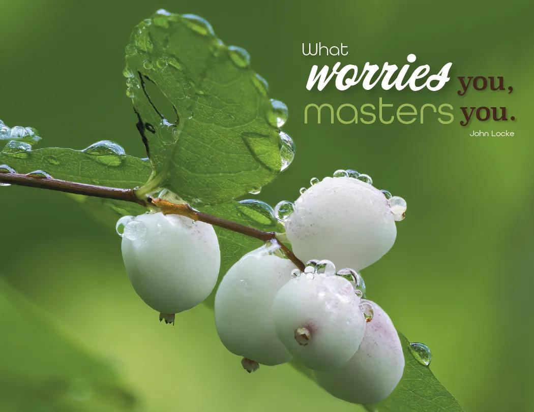 Simplicity Spiral Wall Calendar Quotes FSC Paper - 18.5 x 11 in - product view 10