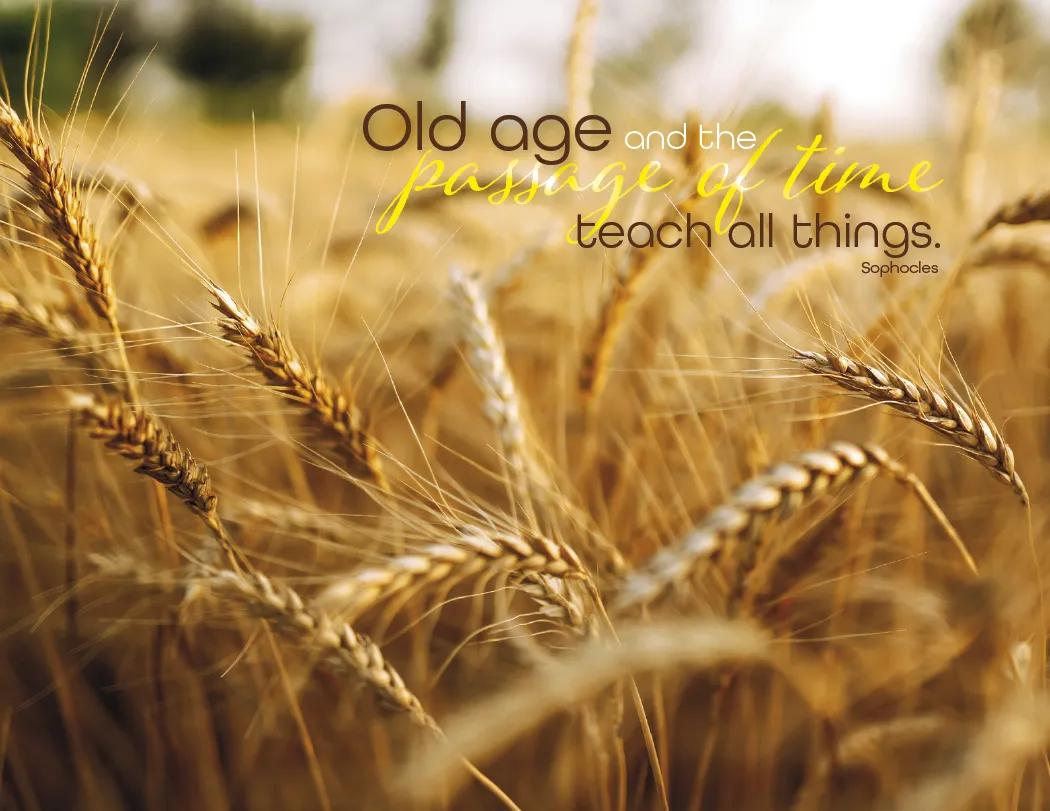 Simplicity Spiral Wall Calendar Quotes FSC Paper - 18.5 x 11 in - product view 12