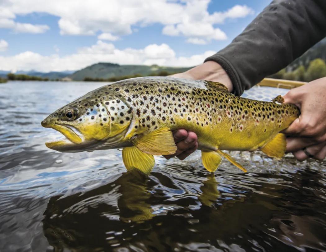 Fishing Spiral Wall Calendar FSC Paper - 18.5 x 11 in - product view 10