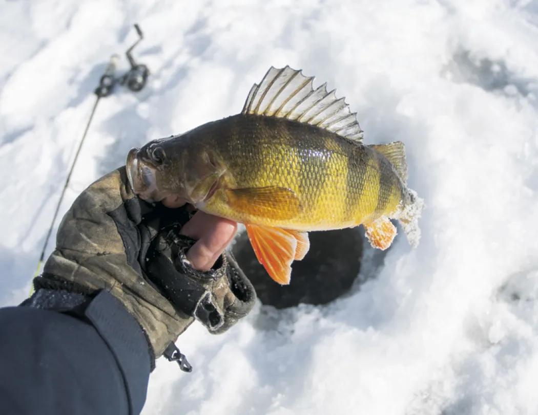 Fishing Spiral Wall Calendar FSC Paper - 18.5 x 11 in - product view 18