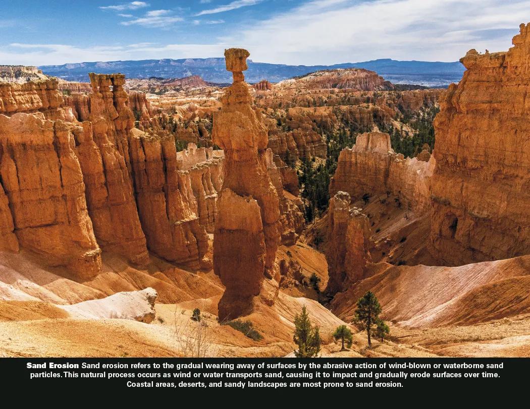 Power of Nature Spiral Wall Calendar FSC Paper - 18.5 x 11 in - product view 9