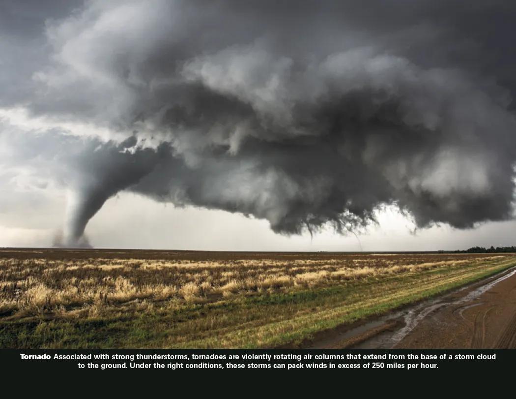 Power of Nature Spiral Wall Calendar FSC Paper - 18.5 x 11 in - product view 10