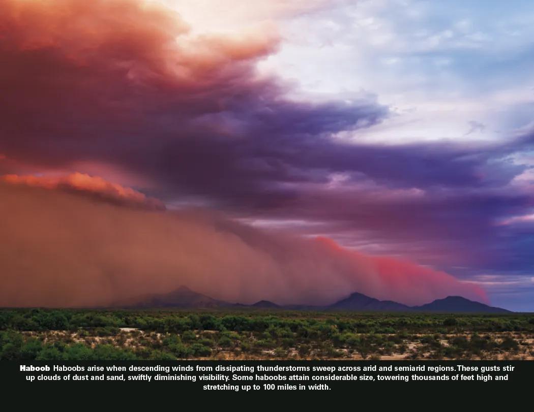 Power of Nature Spiral Wall Calendar FSC Paper - 18.5 x 11 in - product view 15