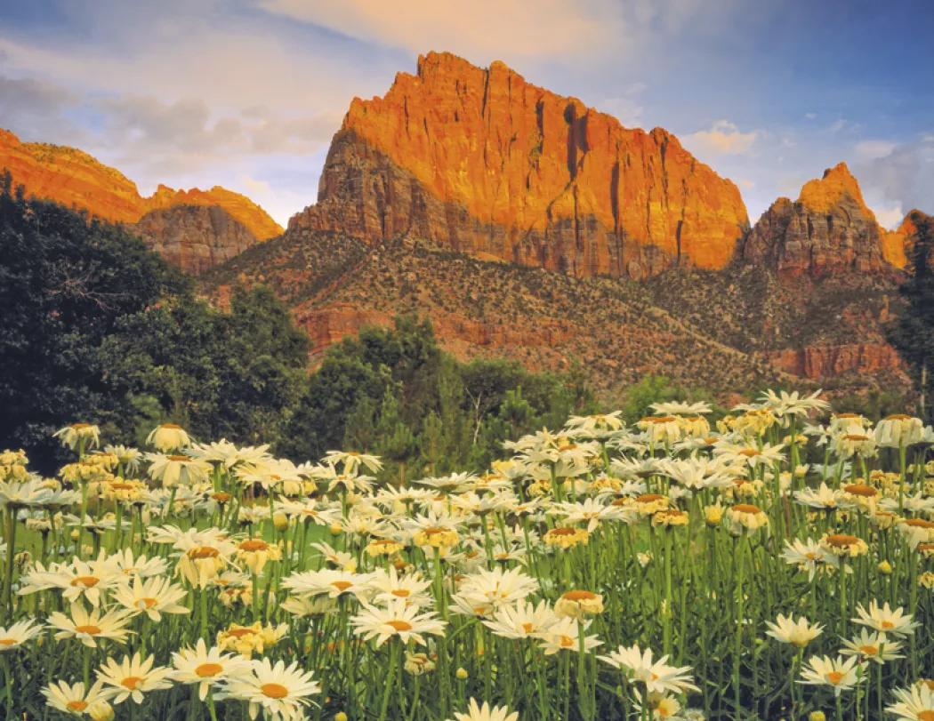 Landscapes America Stapled Wall Calendar FSC - 19 x 11 in - product view 14