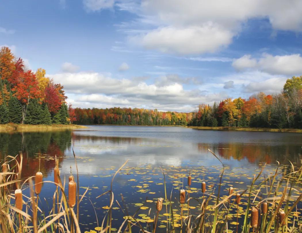 Landscapes America Stapled Wall Calendar FSC - 19 x 11 in - product view 16