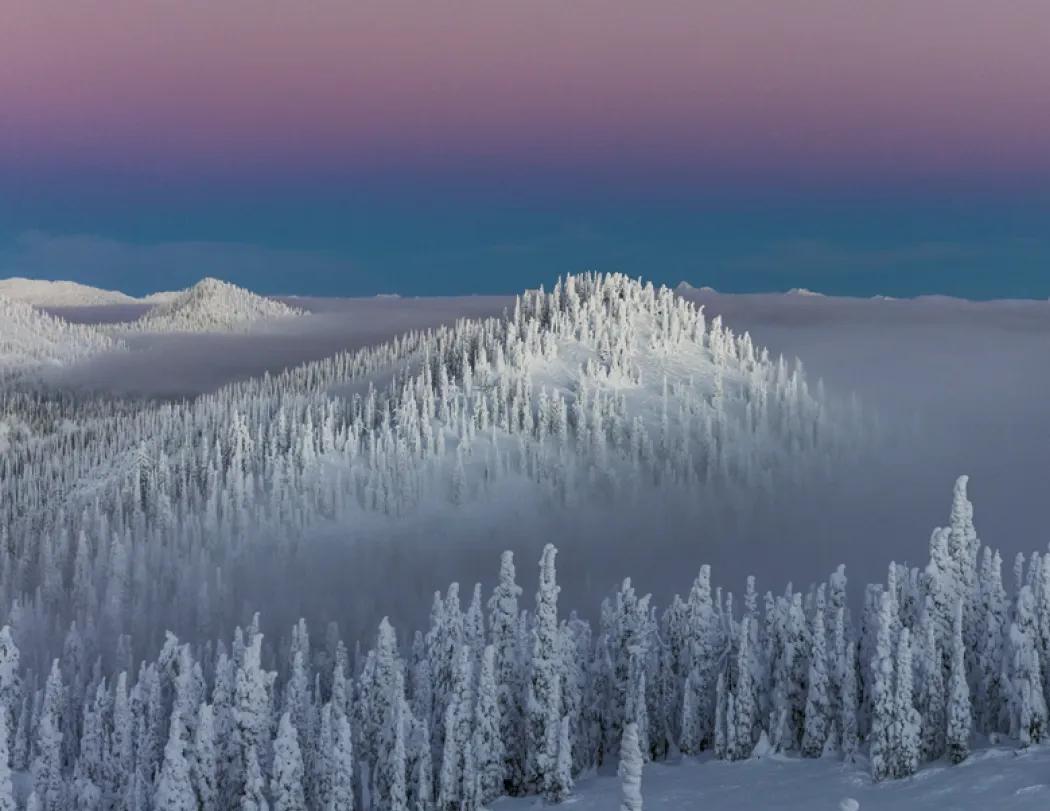 Landscapes America Stapled Wall Calendar FSC - 19 x 11 in - product view 18