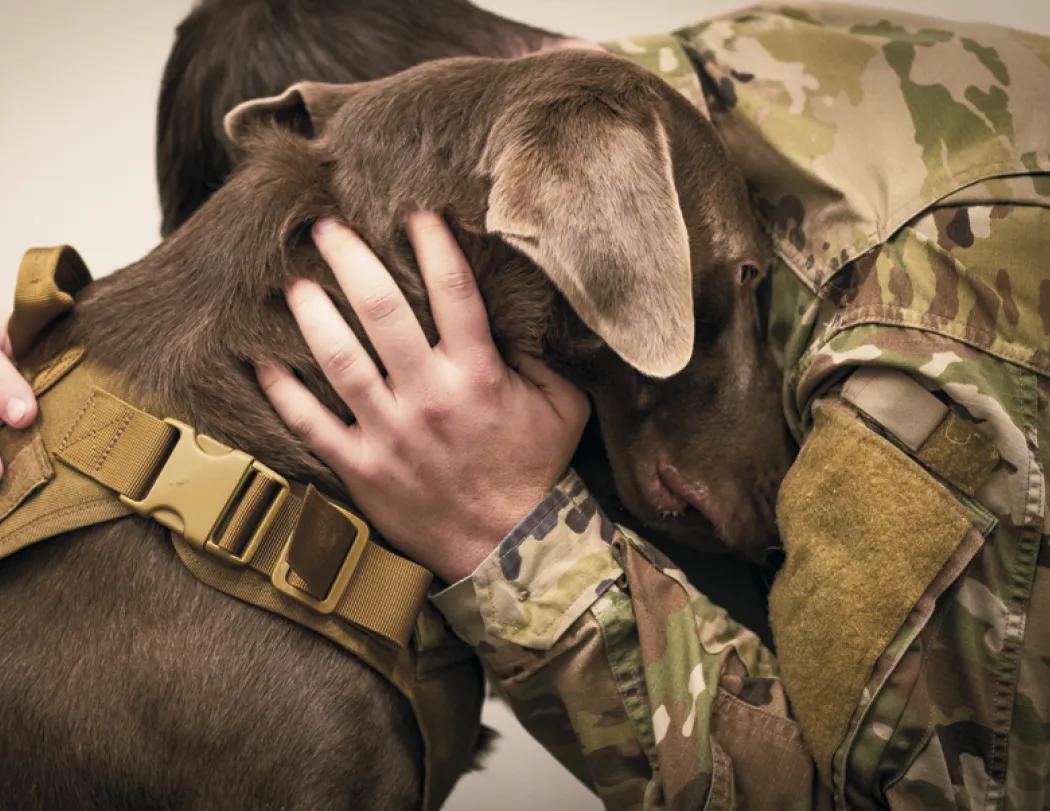 Armed Forces Wall Calendar Stapled Patriotic FSC Paper - 19 x 11 in - product view 14