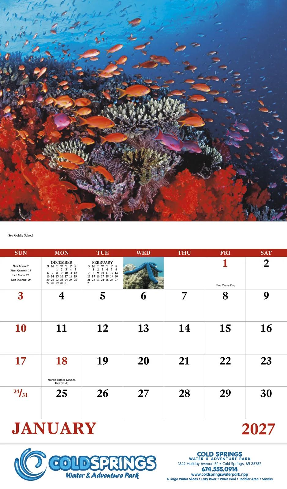 Ocean Life Wall Calendar Stapled FSC Gloss Paper - 19 x 11 in - product view 4