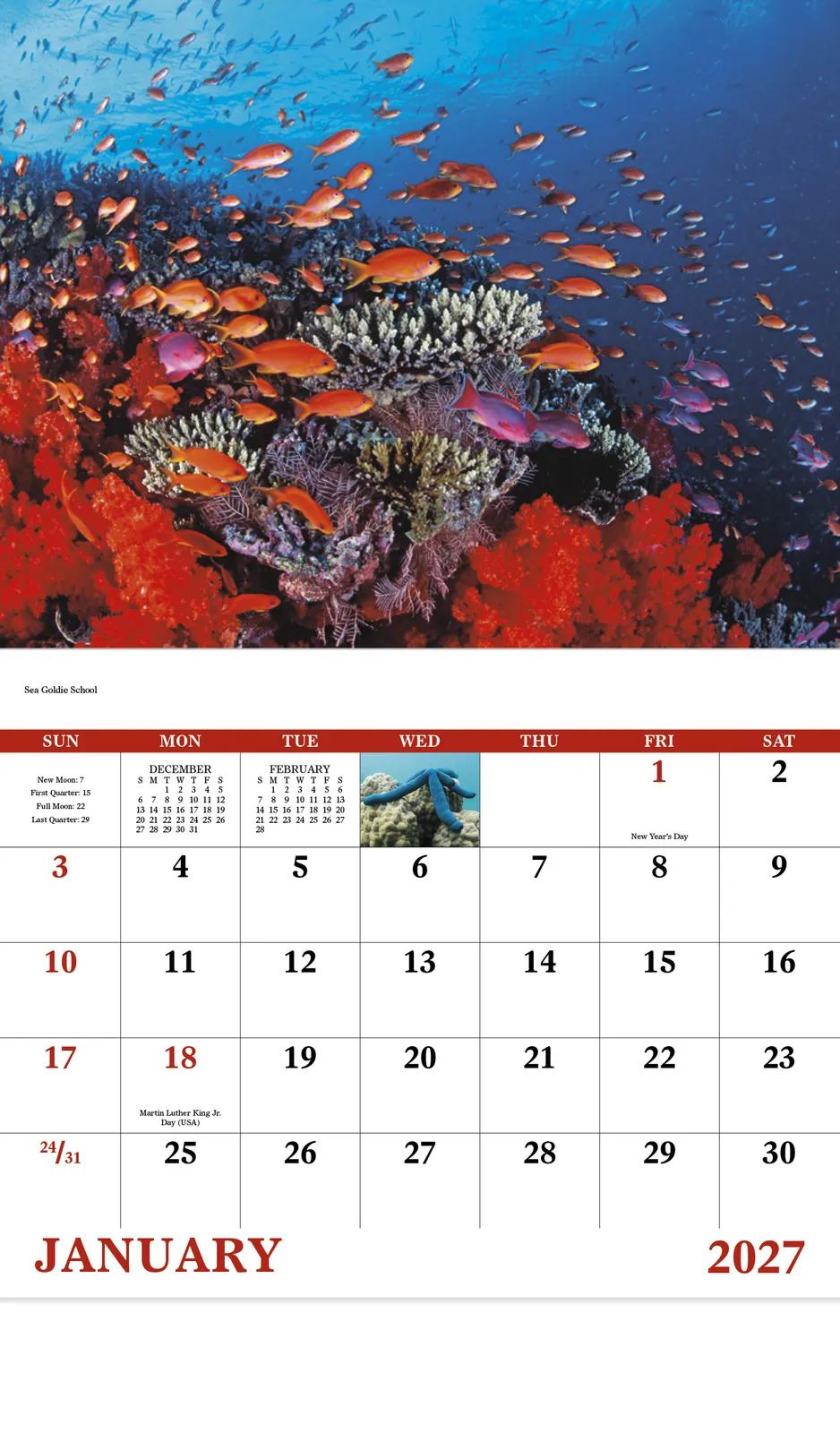 Ocean Life Wall Calendar Stapled FSC Gloss Paper - 19 x 11 in - product view 5