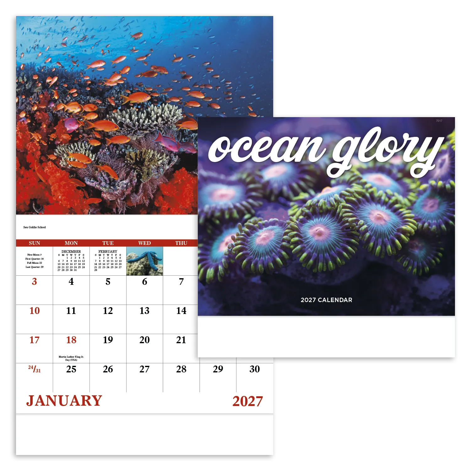Ocean Life Wall Calendar Stapled FSC Gloss Paper - 19 x 11 in - product view 20