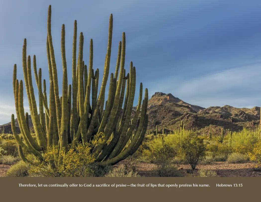 Bible Verse Wall Calendar Stapled FSC Gloss Paper - 19 x 11 in - product view 8