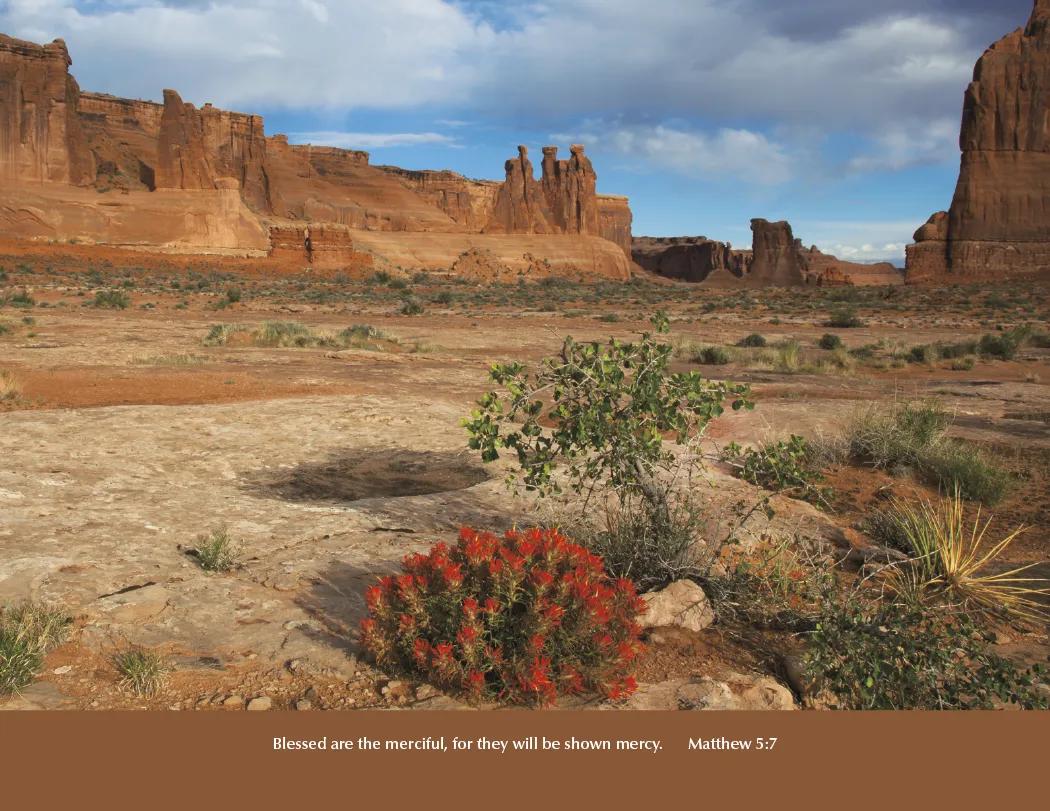 Bible Verse Wall Calendar Stapled FSC Gloss Paper - 19 x 11 in - product view 11