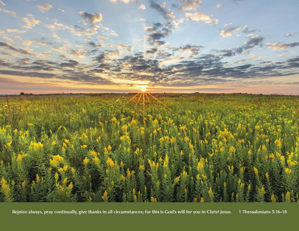 Bible Verse Wall Calendar Stapled FSC Gloss Paper - 19 x 11 in - product view 12