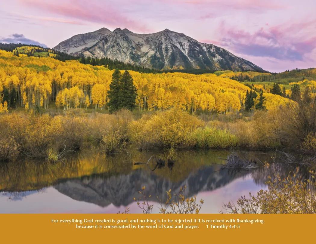 Bible Verse Wall Calendar Stapled FSC Gloss Paper - 19 x 11 in - product view 17