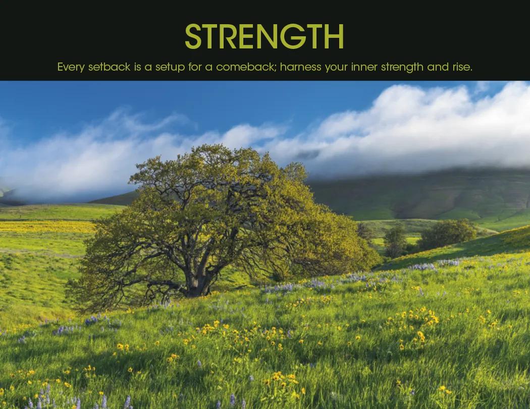 Motivational Wall Calendar Stapled FSC Gloss Paper - 19 x 11 in - product view 13