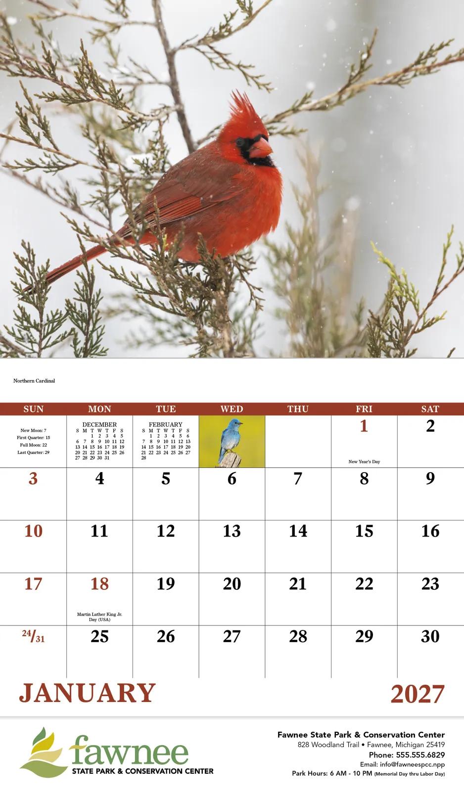 Birds of North America Wall Calendar Stapled FSC Paper - 19 x 11 in - product view 4