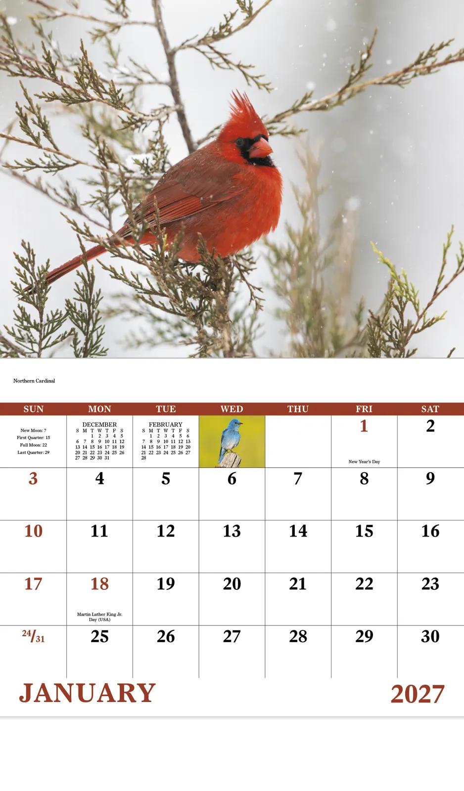 Birds of North America Wall Calendar Stapled FSC Paper - 19 x 11 in - product view 5