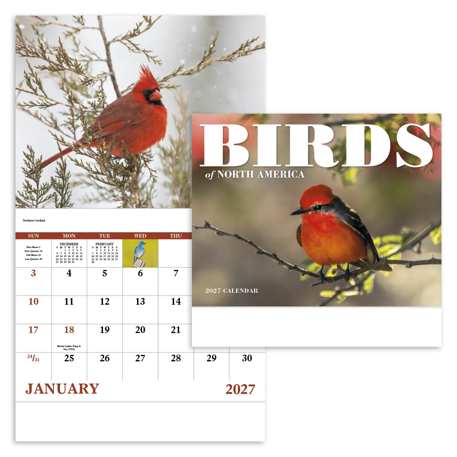 Birds of North America Wall Calendar Stapled FSC Paper - 19 x 11 in - product view 20