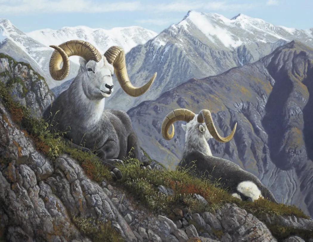 Wildlife Canvas Art Wall Calendar Stapled FSC Paper - 19 x 11 in - product view 9