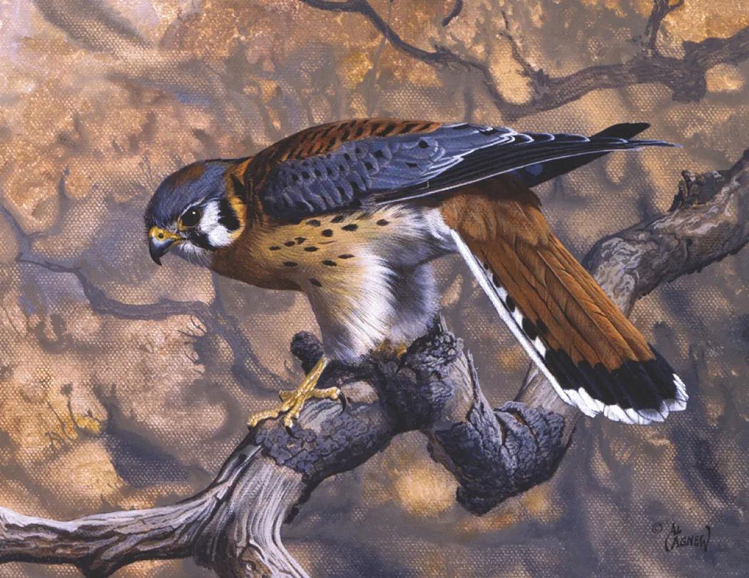 Wildlife Canvas Art Wall Calendar Stapled FSC Paper - 19 x 11 in - product view 11