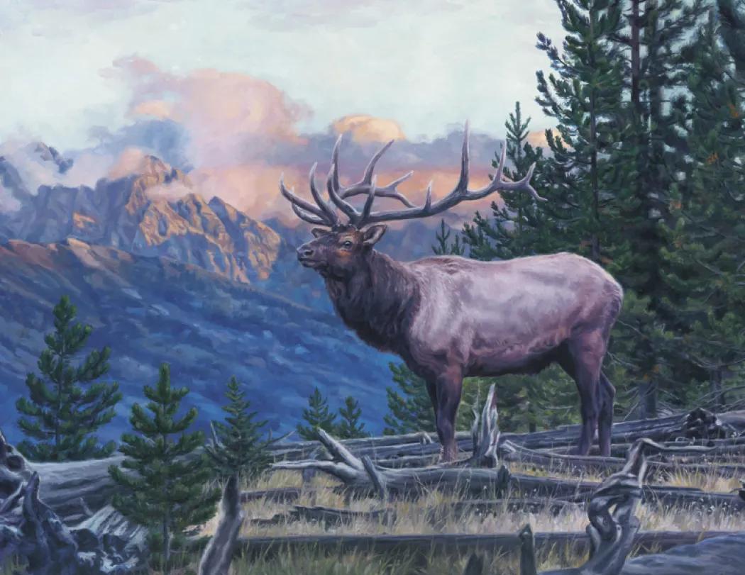 Wildlife Canvas Art Wall Calendar Stapled FSC Paper - 19 x 11 in - product view 13