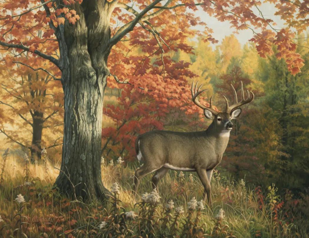 Wildlife Canvas Art Wall Calendar Stapled FSC Paper - 19 x 11 in - product view 16