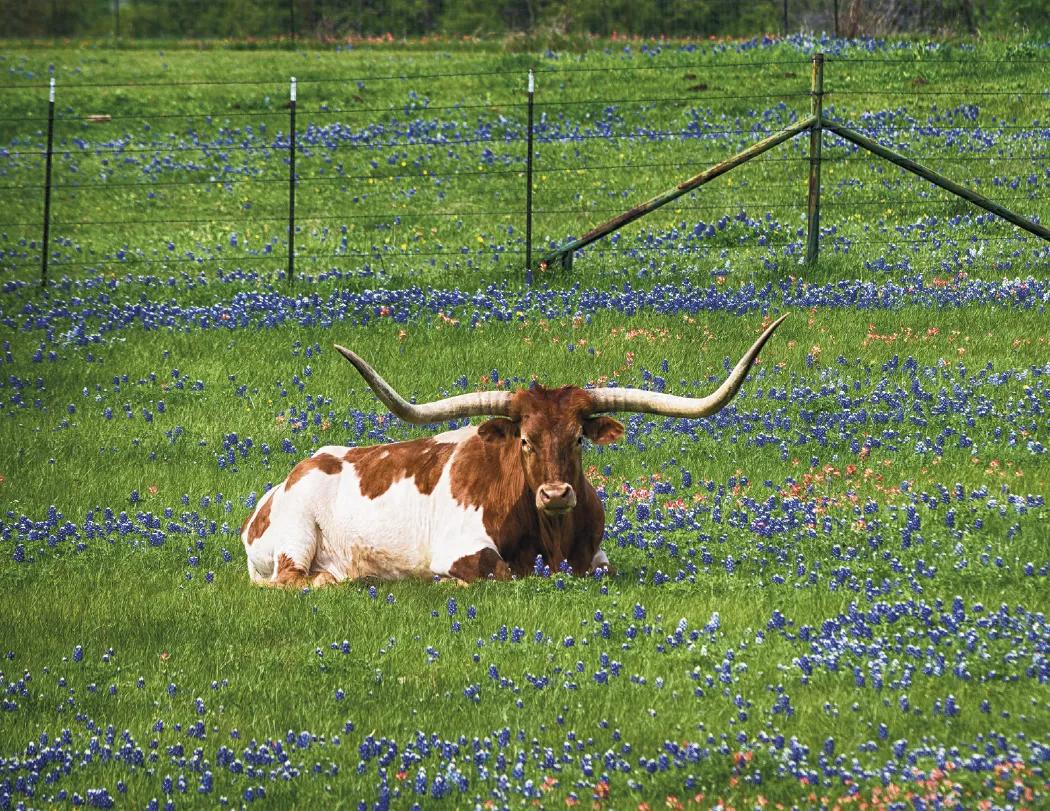 Agriculture Wall Calendar Stapled FSC Paper - 19 x 11 in - product view 11