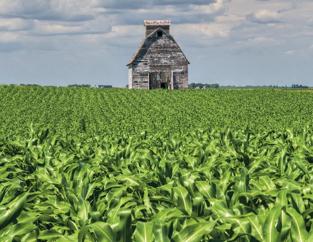 Agriculture Wall Calendar Stapled FSC Paper - 19 x 11 in - product view 12