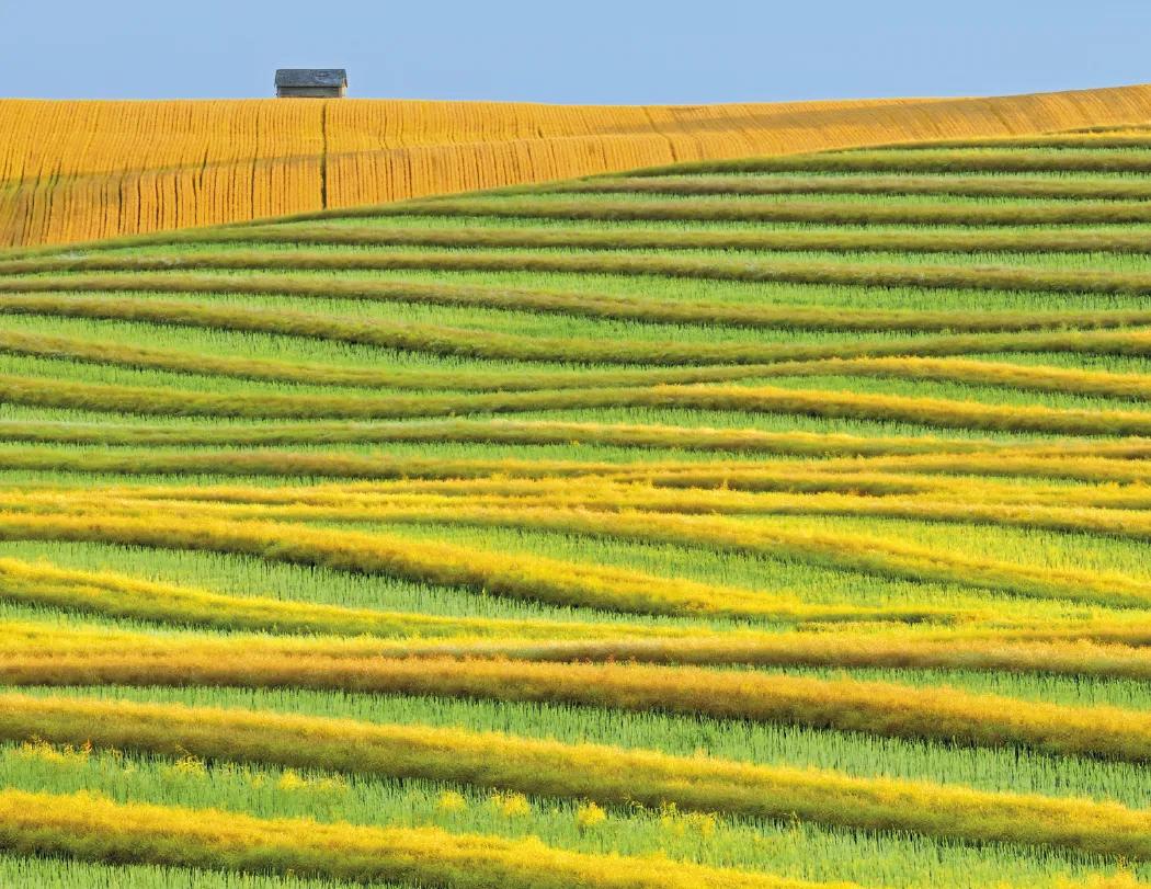 Agriculture Wall Calendar Stapled FSC Paper - 19 x 11 in - product view 15