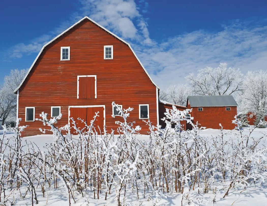 Agriculture Wall Calendar Stapled FSC Paper - 19 x 11 in - product view 18