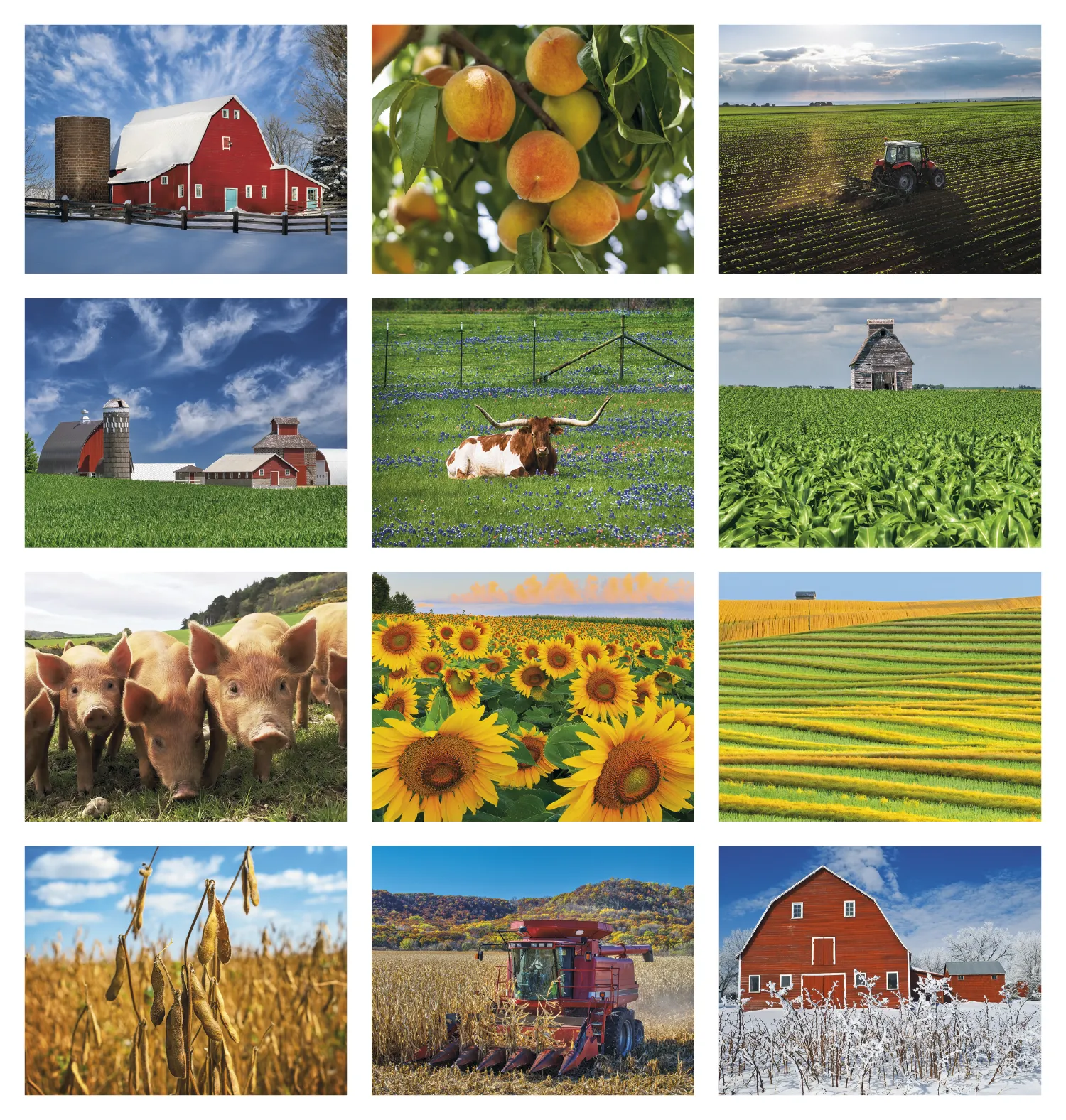 Agriculture Wall Calendar Stapled FSC Paper - 19 x 11 in - product view 21
