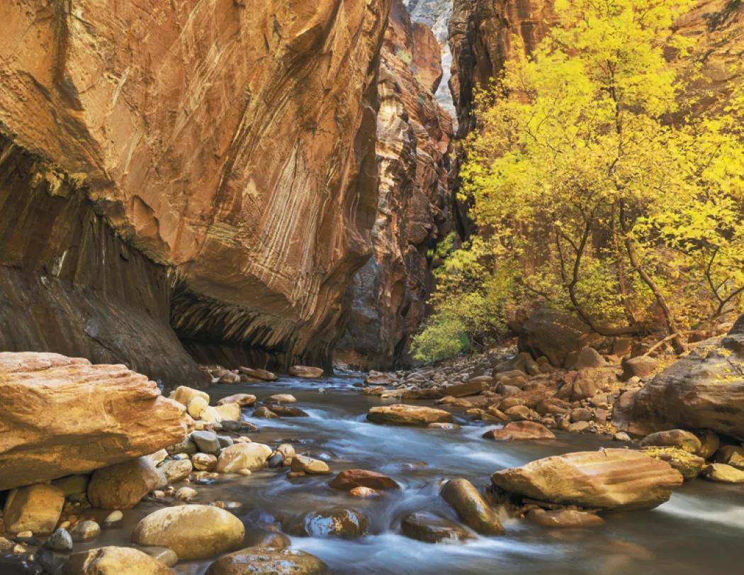 Rocky Mountains Wall Calendar Stapled FSC Paper - 19 x 11 in - product view 17