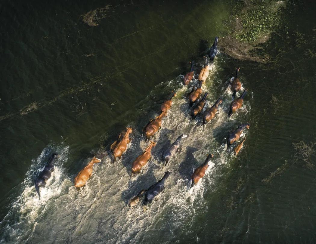 Aerial Photography Wall Calendar Stapled FSC - 18.5 x 11 in - product view 9