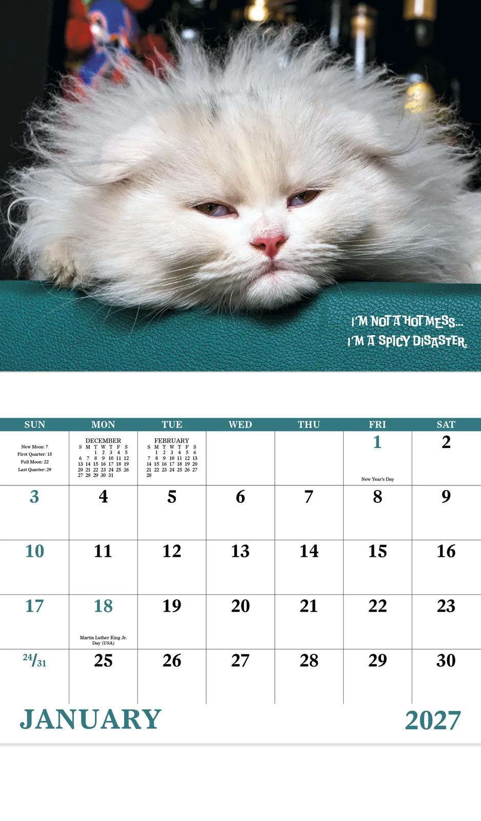 Funny Animals Wall Calendar Stapled FSC Paper - 19 x 11 in - product view 5